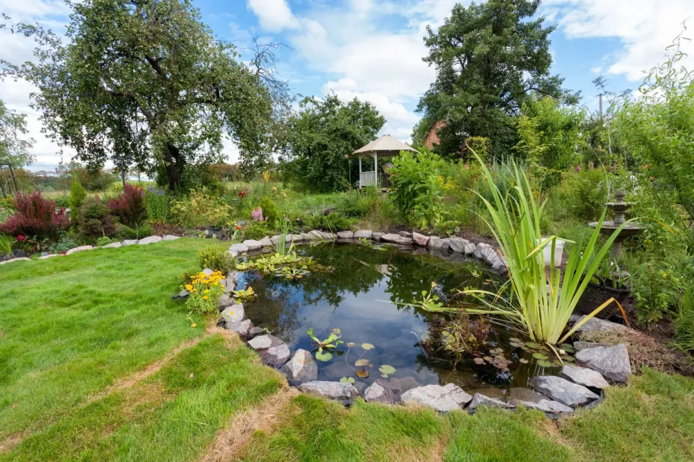 création de jardin à Le Plan-de-la-Tour