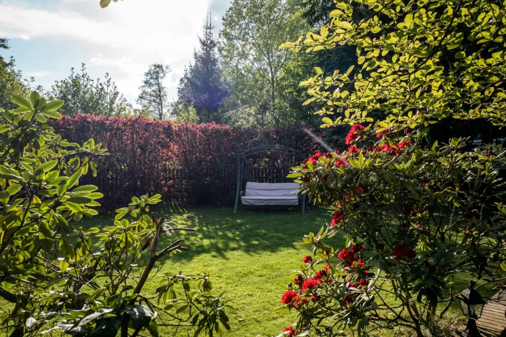 jardinage (1)